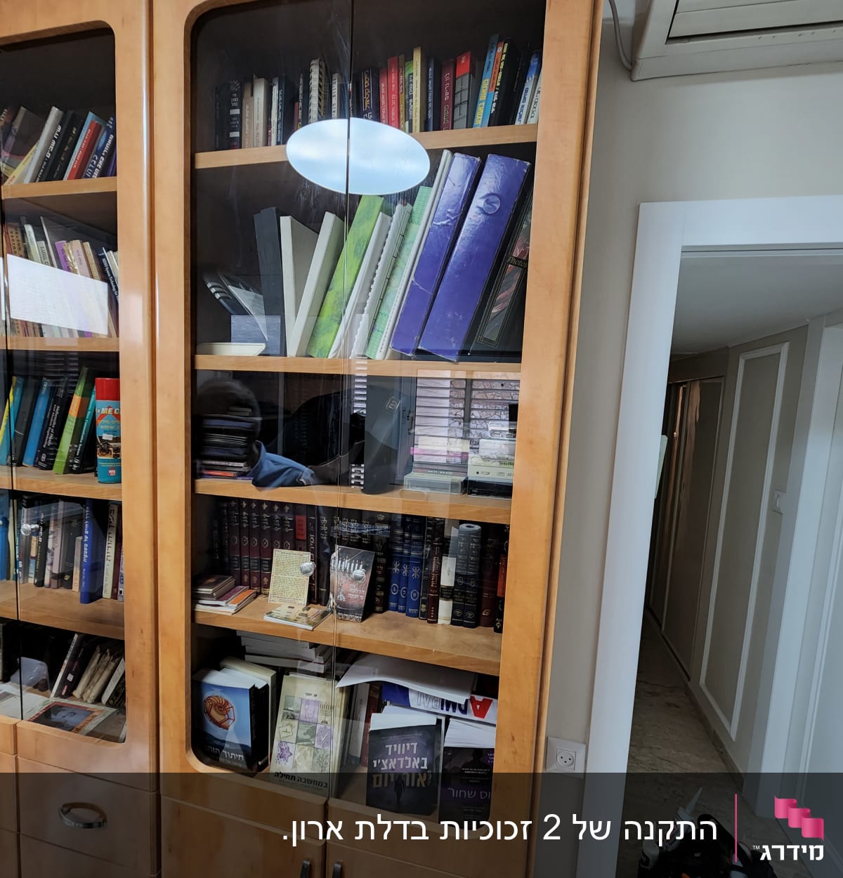 דלתות זכוכית בארון ספרים עם ספרים ותיקיות